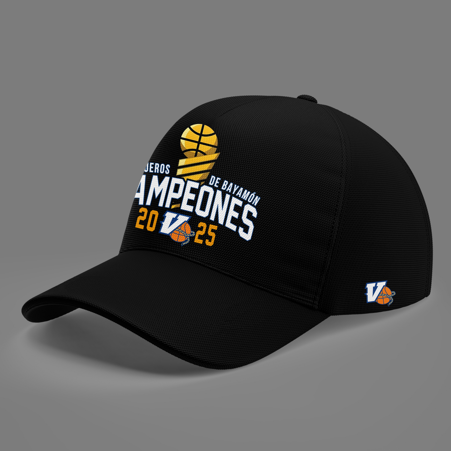 09.Vaqueros de Bayamon Champions Baloncesto Superior Nacional 2025 Hoodie