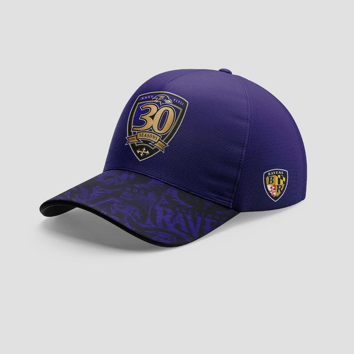 Batimore Ravens Forevermore 30 Season Hoodie