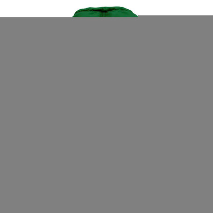 Men's Green Oregon Ducks 2024 Big Ten Football Conference Champions Hoodie V2