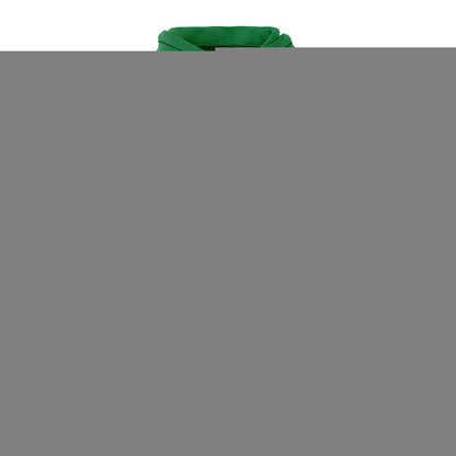 Men's Green Oregon Ducks 2024 Big Ten Football Conference Champions Hoodie V2